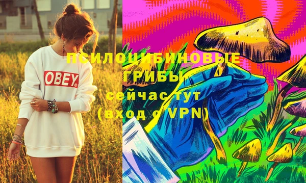 стафф Слюдянка