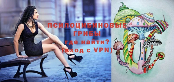 стафф Слюдянка