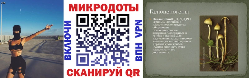 Галлюциногенные грибы Magic Shrooms  Сурск 